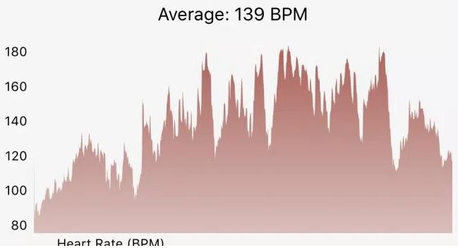 Heart Rate